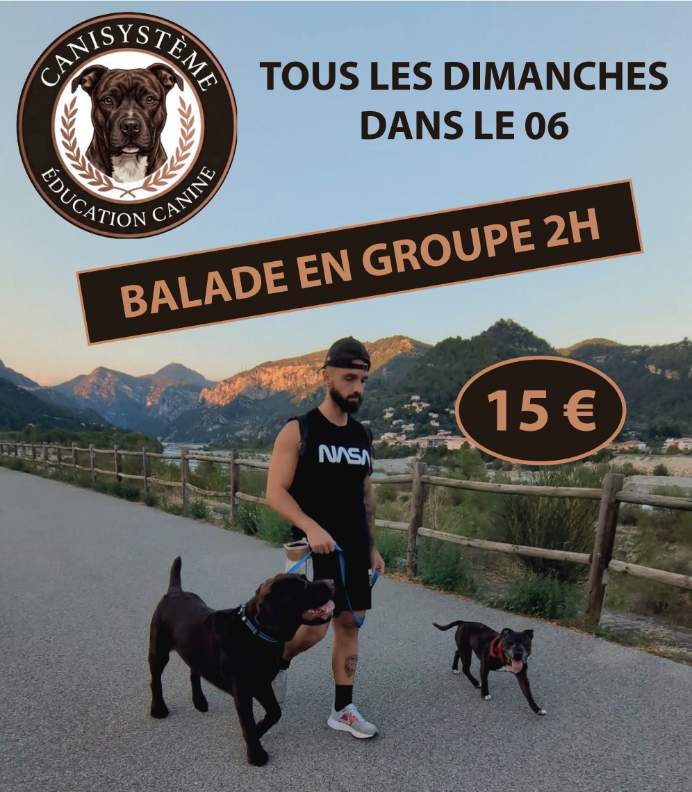 Balade en groupe tous les dimanches, 2 heures, 15 euros